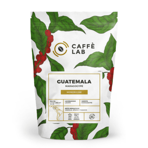 Caffe Lab Guatemala
